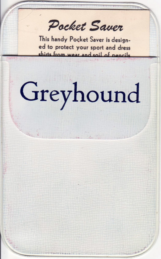 Greyhound